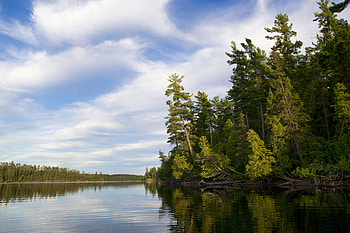 Nature, Rivers, Trees, Sky, Forest, Dahl, Distance HD wallpaper