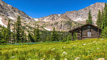 Cabin in the Rockies, trees, sky, flowers, meadow, canada, alberta HD wallpaper