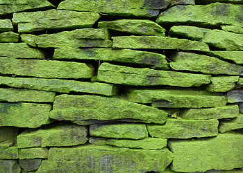 Rock, Texture, Textures, Surface, Wall, Stone HD wallpaper