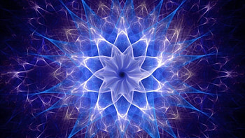 Light Purple Flower Glare Lights Reflection Abstraction Abstract HD wallpaper