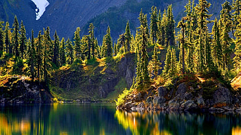 Reflection in Calm Lake, mirrored, reflection, trees, nature, spring, calm, forest HD wallpaper