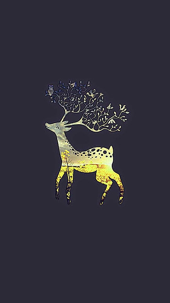 Graceful deer, Natural wilderness, Forest dwelling, wildlife HD phone wallpaper