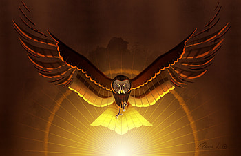 Art, Owl, Bird, Wings HD wallpaper