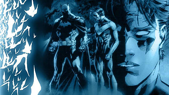 nightwing with batman - ( HD wallpaper