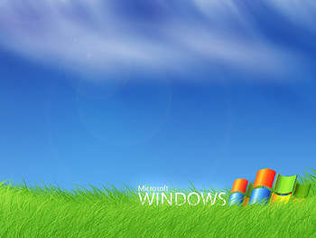 Brands, Windows, Clear Sky HD wallpaper