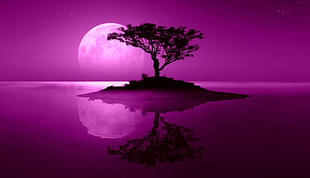 Pink fantasy, art, aqua, tree, pink, reflection, moon, abstract, view, luna, water HD wallpaper