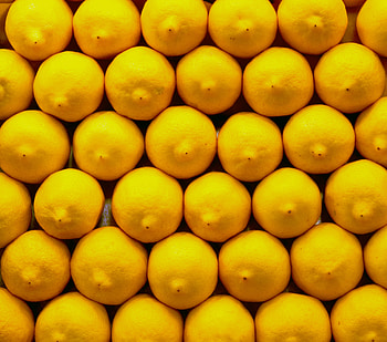Lemons, Food, Citrus, Citruses HD wallpaper