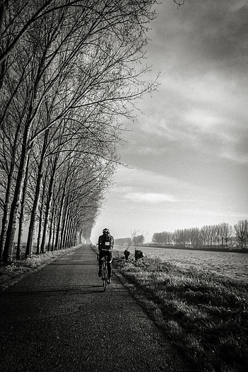 Sports, Trees, Road, Movement, Traffic, Bw, Chb, Cyclist HD phone wallpaper