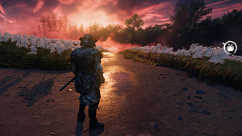 Ghost of Tsushima, Ghost of Tsushima HD wallpaper