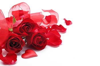 ❤️, Roses, Heart, Love, Gift HD wallpaper