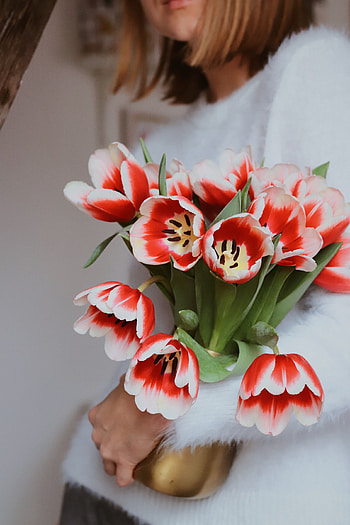 Flowers, Tulips, Bouquet HD phone wallpaper