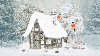 Winter Cottage, bench, winter, birds, cabin, Christmas, hut, snow, trees, nature, cottage, forest HD wallpaper