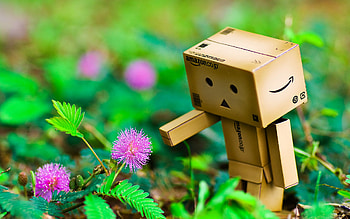 Dando in Spring, graphy, dando, dando danboard, , little, character HD wallpaper