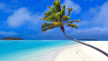 Preview maldives, beach, palm trees, sand, sea HD wallpaper