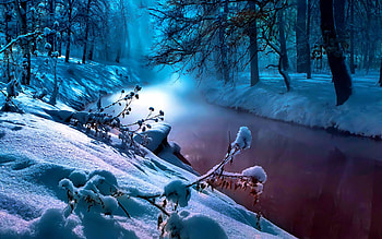 Snow, River, , Winter, Fog, Tree HD wallpaper