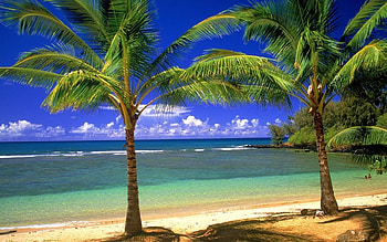 Landscape, Beach HD wallpaper