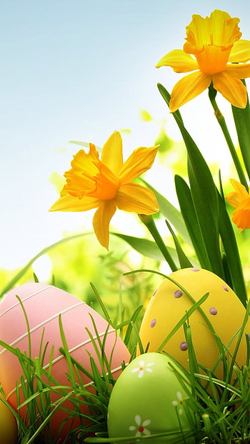Easter, Happy, Day HD phone wallpaper