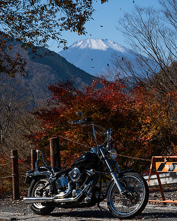 Nature, Autumn, Motorcycles, Motorcycle, Bike, Chopper HD phone wallpaper