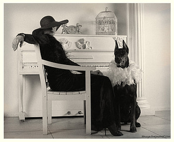DECADENCE, dog, abstract, graphy, portrait, bw, abundance, woman, character HD wallpaper