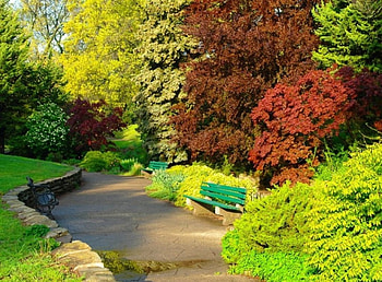 Green Park, trees, garden, forest, park HD wallpaper