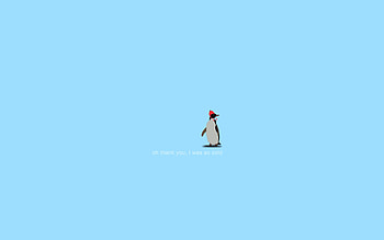 Funny, Humor HD wallpaper