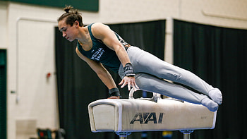 Aidan Cuy, Pommel Horse (Gymnastics) HD wallpaper