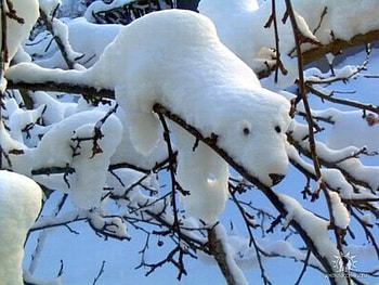 Cool Ice Work, cool, ice work HD wallpaper