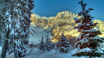 beautiful austrian alps in winter r, winter, sunlight, cliffs, trees, r, mountains HD wallpaper