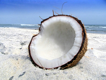 Food, Coconuts HD wallpaper