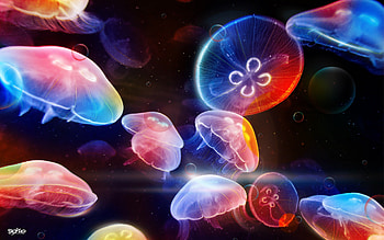 Underwater Jellyfishes, underwater, creative HD wallpaper
