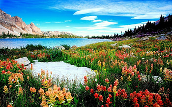 Wildflowers by the lake, clouds, landscape, sky, flowers, mountains HD wallpaper