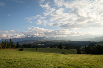 Nature, Grass, Sky, Hill, Meadow HD wallpaper
