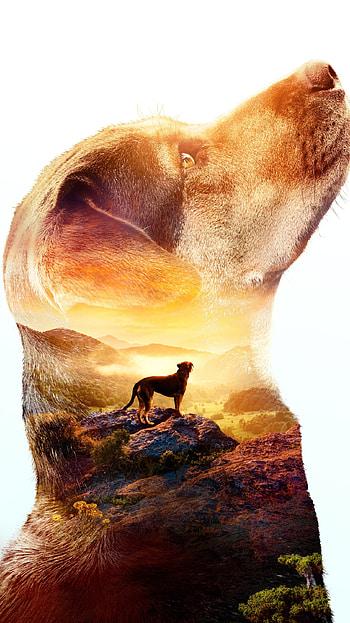 A Dog& HD phone wallpaper