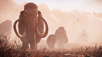 Mammoth , Michelle Thompson, Expert's selection, Incredible creature HD wallpaper