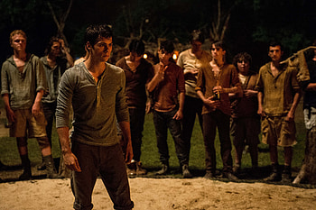 The Maze Runner, Movie, Dylan O'brien HD wallpaper