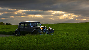 In Green Field, sky, nature, car, field HD wallpaper