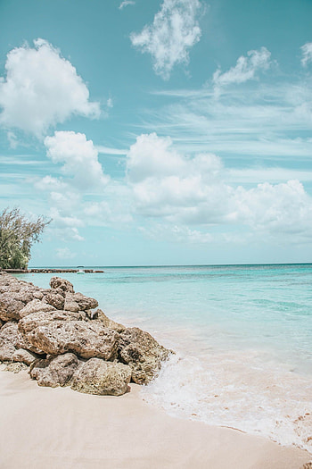 Where to eat in Barbados, Stay & play, Alyson Haley beach, Beach wall collage HD phone wallpaper