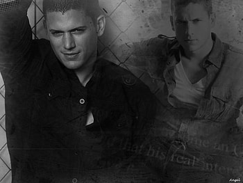 Wentworth Miller, tv sieres, hot, actors, prison break HD wallpaper