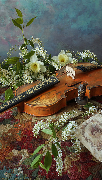 graphic Still-Life: Violin & Blooms, graphy, still life HD phone wallpaper