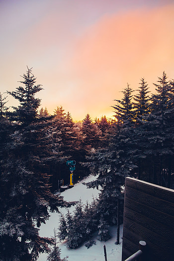 Landscape, Winter, Nature, Trees, Sunset, View HD phone wallpaper