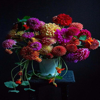 Beautiful arrangement of flowers, Dahlias, Dark background, Bright, Vase, Chrysanthemums HD wallpaper