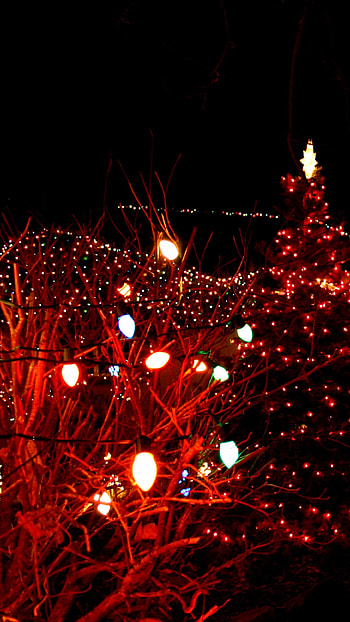 Christmas Lightings, Lights HD phone wallpaper