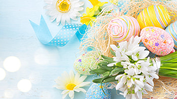 Easter Eggs & Snowdrops, Easter, snowdrops, flowers, spring, eggs, daisises, nest HD wallpaper