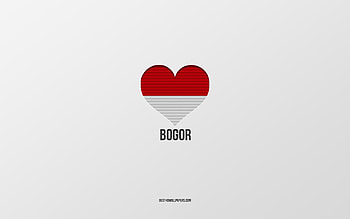I Love Bogor, Indonesian cities, Day of Bogor, gray background, Bogor, Indonesia, Indonesian flag heart, favorite cities, Love Bogor HD wallpaper