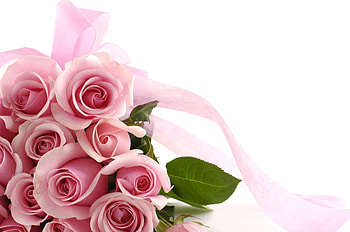 Roses, bouquet, gentle, graphy, ribbon, elegantly, beautiful, nice, rose, pink, flower, cool, flowers, , harmony HD wallpaper