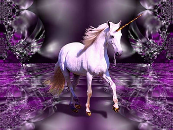 Purple Wonderland, unicorn, artwork, horse, reflections HD wallpaper