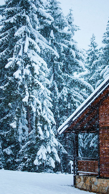 Snow-covered house, Winter's layer of snow, Winter , Nature's snowy touch HD phone wallpaper