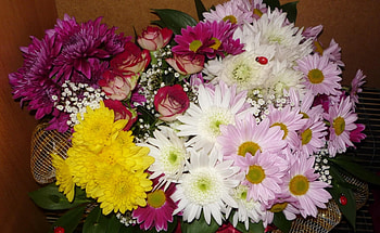 Flowers, Roses, Chrysanthemum, Ladybugs, Registration, Typography, Bouquet HD wallpaper