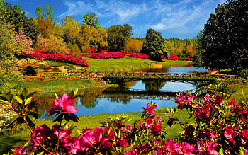 spring screensavers backgrounds | Spring Awakening Screensaver - This is a sample from what the ... | SCREEN SAVERS | Pinterest | Spring screensavers ... HD wallpaper