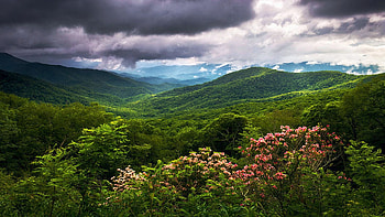North Carolina Mountains, Blue Ridge Parkway, hills, clouds, landscape, trees, flowers, sky, usa HD wallpaper